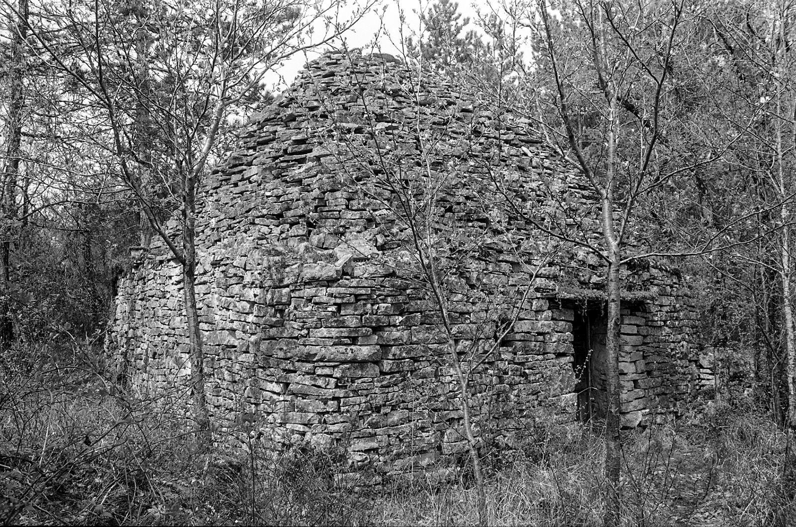 Le Mazut Daglan