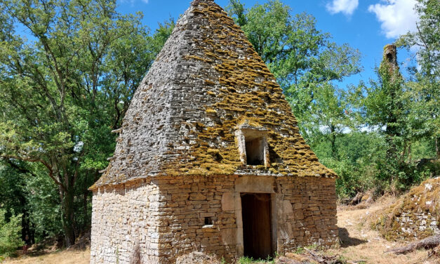 Cabane à Salviac