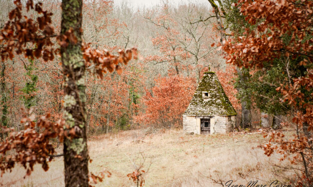 Qu’est-ce qu’une cabane ?