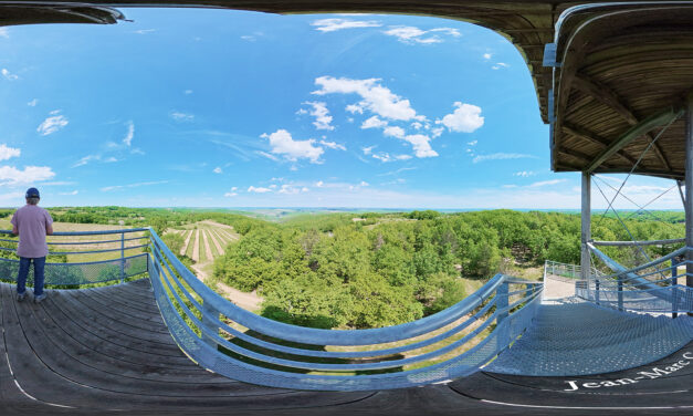 Visite de la tour panoramique de Moncalou