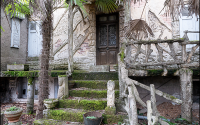 Exposition virtuelle sur les rocailles
